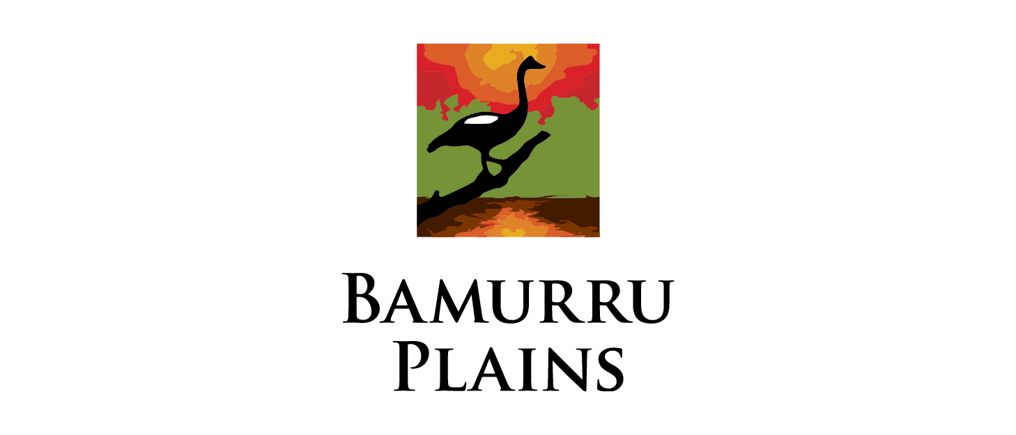 ExperienceCo Company Logo