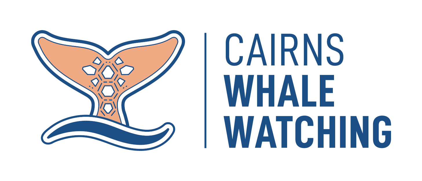 ExperienceCo Company Logo