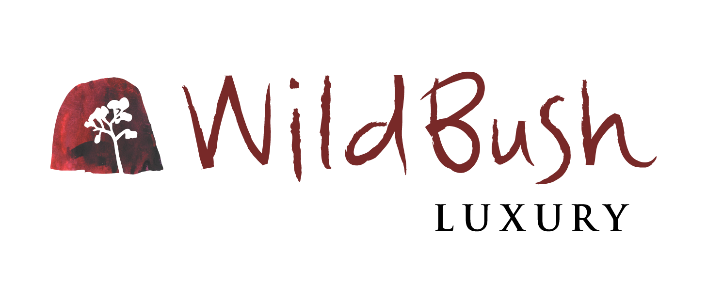 ExperienceCo Company Logo